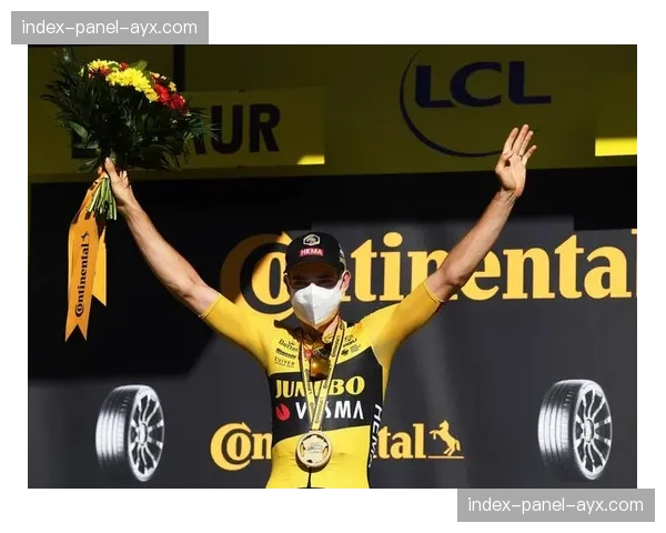 范阿尔特因脚踝骨折及韧带撕裂伤病，新闻报环赛竞技竞争力有限