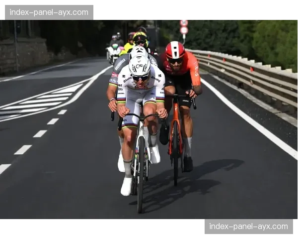 米兰-圣雷莫：波加查赢得“冲刺手经典”，最后时刻单飞夺冠